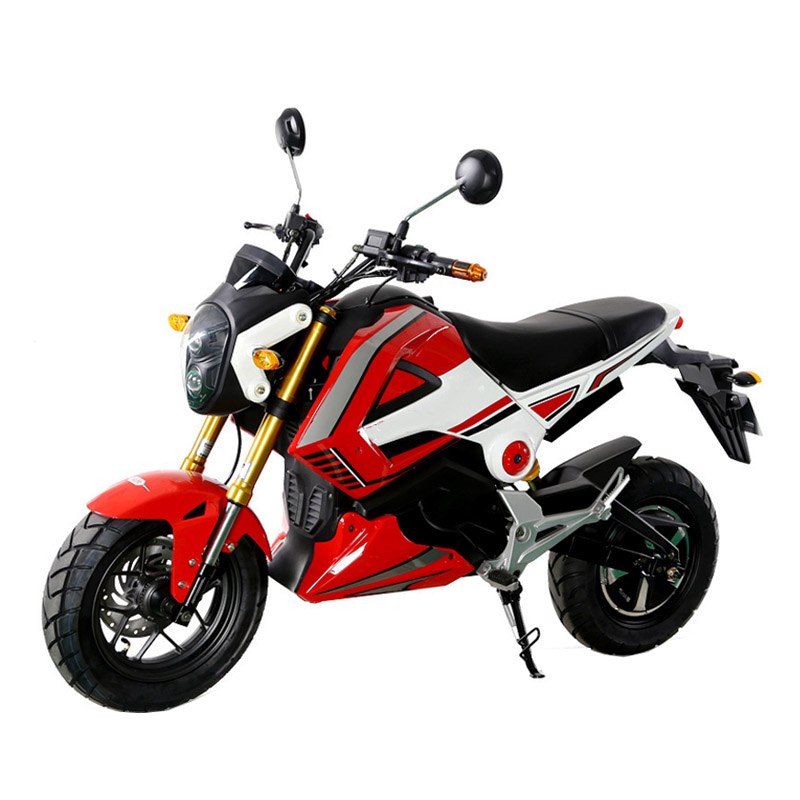 1000W electric motorbike for adults