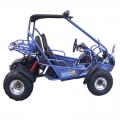 Praia Buggy Off Road vai Kart 