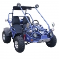 Praia Buggy Off Road vai Kart 