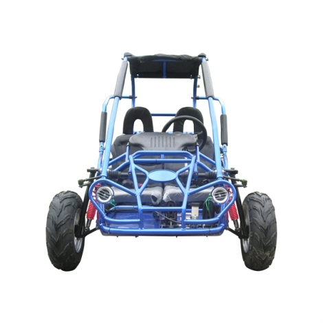 Buggy de gasolina de crianças 200cc