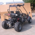 2 seater Racing Buggy com reverso 150cc preto 