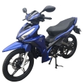 Filhote Motorcyce 125cc 17