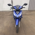 Filhote Motorcyce 125cc 17