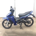 Filhote Motorcyce 125cc 17