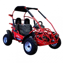 XTM G80S Buggy